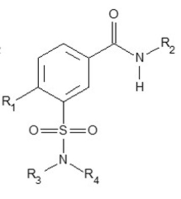 Chemische Verbindung 3-Sulfonylamidobenzamide